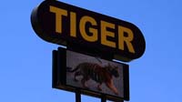 0-TigerTSsign